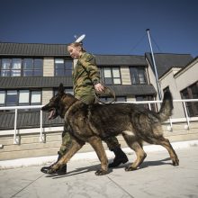 Kariuomenė mini Šuns dieną: vyko tarnybinių šunų rikiuotė