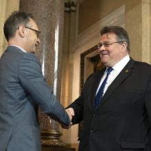 L. Linkevičius ragino Vokietiją atsižvelgti į Ukrainos interesus