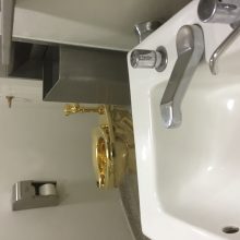 Niujorko Guggenheimo muziejuje pradėjo veikti auksinis tualetas