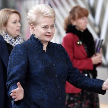 D. Grybauskaitė žada paramą D. Tuskui
