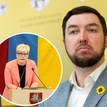 V. Mitalas: premjerė I. Šimonytė turėtų likti poste ir tęsti darbus