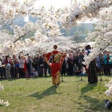 Tarp sakurų žiedų skambėjo japonų ir lietuvių liaudies dainos