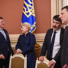 D. Grybauskaitė naująjį Ukrainos prezidentą ragina „sutraiškyti“ oligarchinę sistemą