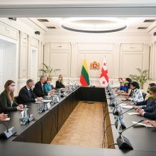 G. Nausėda: Lietuva niekada nepripažins dalies Sakartvelo okupacijos