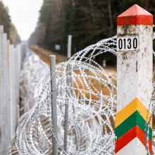 Seimas nepritarė pataisoms, griežtinančioms atsakomybę už nelegalios migracijos organizavimą