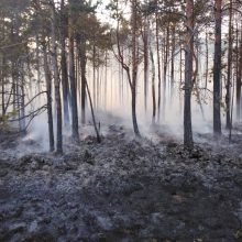 Miškininkai antrą dieną gesina miškus šalia Trakų – įtariami padegimai