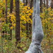 Saukų dinastija: sūnus Mykolas kuria Viršuliškių parką