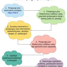 Lietuvos donoro plaučiai ir širdis išgabenti į Vokietiją ir Kroatiją