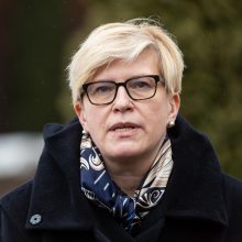 Premjerė teikia siūlymą pratęsti nepaprastąją padėtį: tai paskutinis toks prašymas