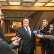 L. Linkevičius aiškinosi dėl santykių su Baltarusija: siūlo nekelti dramos