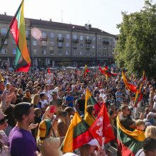 Žydų atstovai, I. Šimonytė pasmerkė Holokausto simbolikos naudojimą mitinge prie Seimo