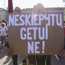 Protestas neapsiėjo be incidentų: sumuštas žmogus, sulaikyti du girti ir vienas su narkotikais