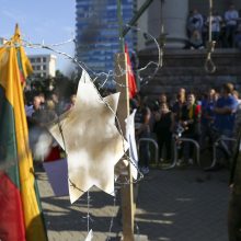 Protestas neapsiėjo be incidentų: sumuštas žmogus, sulaikyti du girti ir vienas su narkotikais