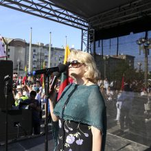 Protestas neapsiėjo be incidentų: sumuštas žmogus, sulaikyti du girti ir vienas su narkotikais