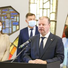 Naujos Seimo frakcijos seniūnu išrinktas S. Skvernelis