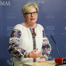 Vyšyvanka pasipuošusi premjerė: tai simbolinis, bet palaikymo gestas Ukrainai