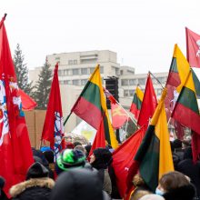 V. Landsbergis apie protestuotojus: nereikia jų vadinti žmonėmis – jie fašistai, „Jedinstvo“