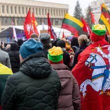 Protestai per Sausio 13-osios minėjimą sugraudino Seimo narę: taip sunku niekada nebuvo