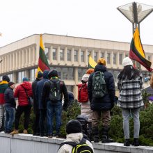 Protestai per Sausio 13-osios minėjimą sugraudino Seimo narę: taip sunku niekada nebuvo