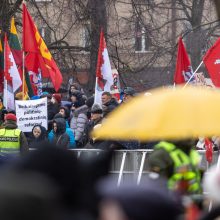 Protestai per Sausio 13-osios minėjimą sugraudino Seimo narę: taip sunku niekada nebuvo