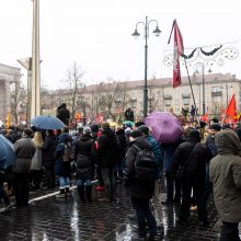 Opozicijos atstovai neskuba smerkti Sausio 13-osios minėjimą trikdžiusių protestuotojų