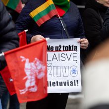 V. Landsbergis apie protestuotojus: nereikia jų vadinti žmonėmis – jie fašistai, „Jedinstvo“