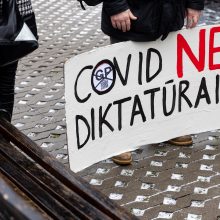 Protestai per Sausio 13-osios minėjimą sugraudino Seimo narę: taip sunku niekada nebuvo