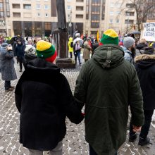 V. Landsbergis apie protestuotojus: nereikia jų vadinti žmonėmis – jie fašistai, „Jedinstvo“