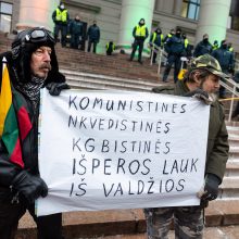 Protestai per Sausio 13-osios minėjimą sugraudino Seimo narę: taip sunku niekada nebuvo