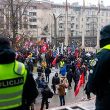 Protestai per Sausio 13-osios minėjimą sugraudino Seimo narę: taip sunku niekada nebuvo