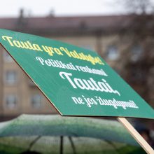 Protestai per Sausio 13-osios minėjimą sugraudino Seimo narę: taip sunku niekada nebuvo