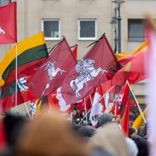 Protestai per Sausio 13-osios minėjimą sugraudino Seimo narę: taip sunku niekada nebuvo