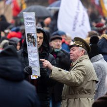 Po protesto – A. Orlausko pareiškimas apie valdžią: jie – ne vadovai, jie iškamšos