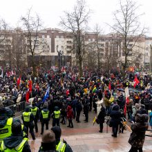 V. Landsbergis apie protestuotojus: nereikia jų vadinti žmonėmis – jie fašistai, „Jedinstvo“