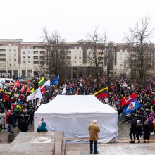 Protestai per Sausio 13-osios minėjimą sugraudino Seimo narę: taip sunku niekada nebuvo