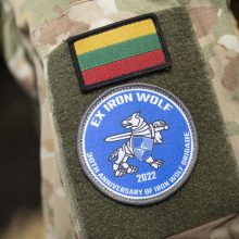 In Litauen beginnt eine der größten internationalen Militärübungen