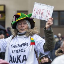 V. Landsbergis apie protestuotojus: nereikia jų vadinti žmonėmis – jie fašistai, „Jedinstvo“