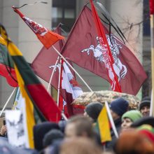 Protestai per Sausio 13-osios minėjimą sugraudino Seimo narę: taip sunku niekada nebuvo