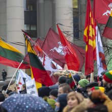 Protestai per Sausio 13-osios minėjimą sugraudino Seimo narę: taip sunku niekada nebuvo