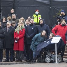 Protestai per Sausio 13-osios minėjimą sugraudino Seimo narę: taip sunku niekada nebuvo