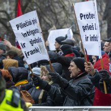 Protestai per Sausio 13-osios minėjimą sugraudino Seimo narę: taip sunku niekada nebuvo