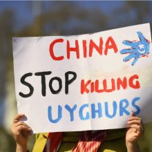 Seimas pasmerkė Kinijoje vykdomus nusikaltimus žmoniškumui