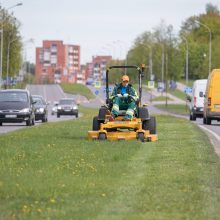 Vilnius imasi naujos vejų šienavimo strategijos: sieks atkurti natūralias pievas