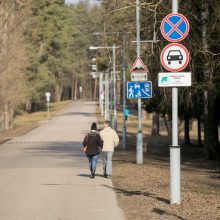 Sostinės parkuose – laikini eismo draudimai dėl varlių migracijos