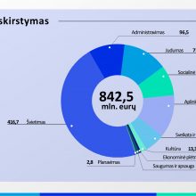 Vilniaus biudžetas šiemet didės minimaliai