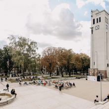 Kariljono festivalis: pažinti ir mėgautis