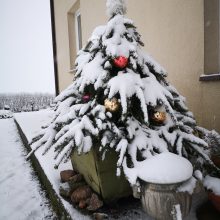 Seni eglutės žaisliukai kolekcininkę grąžina į vaikystę