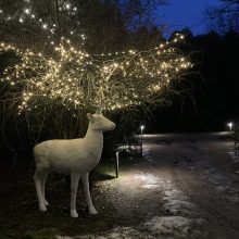 Kauno rajone Kalėdos apsigyvens nuo gruodžio 1-osios