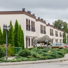 Plėtrą generuoja trikampis tarp Garliavos, pietinės Kauno ribos ir rajoninės reikšmės Rokų kelio