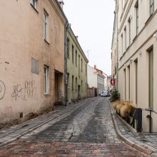 Kauno Senamiestyje – gatvių tvarkymo vajus